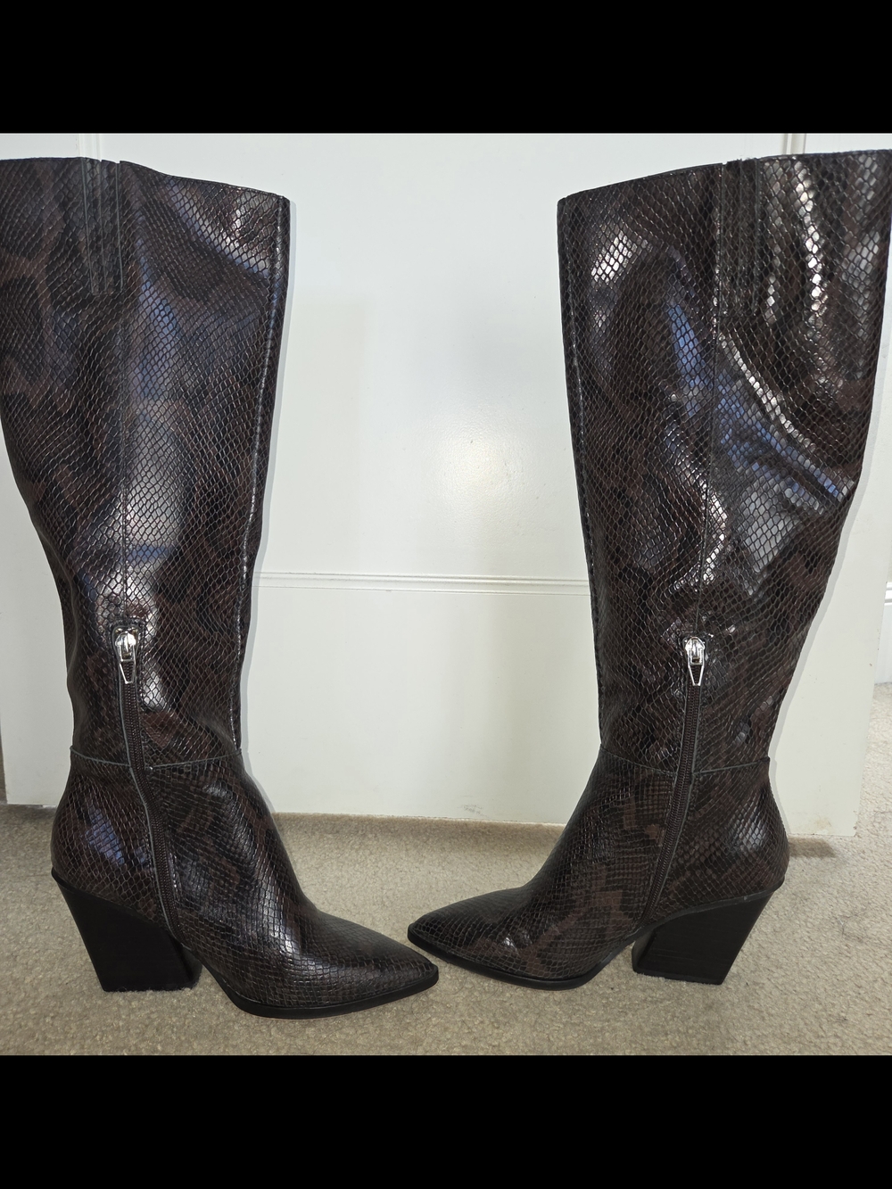 Dolce Vita Snakeskin Knee Boots